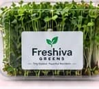 Freshiva Greens Family plan pack of fresh microgreens