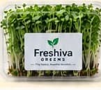 Freshiva Greens Fitness plan pack of fresh microgreens