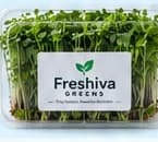 Freshiva Greens Wellness plan pack of fresh microgreens