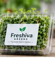 A Freshiva Greens retail pack of fresh microgreens
