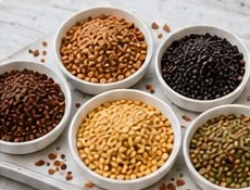 Bowls of assorted untreated microgreen seeds