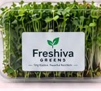 Freshiva Greens Family plan pack of fresh microgreens