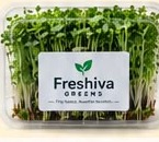 Freshiva Greens Fitness plan pack of fresh microgreens