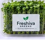 Freshiva Greens Premium plan pack of fresh microgreens