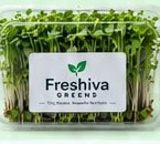 Freshiva Greens Starter plan pack of fresh microgreens