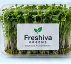 Freshiva Greens Wellness plan pack of fresh microgreens
