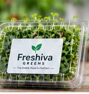 A Freshiva Greens retail pack of fresh microgreens